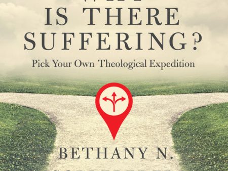 Why Is There Suffering?: Pick Your Own Theological Expedition - Audiobook (Unabridged) For Discount