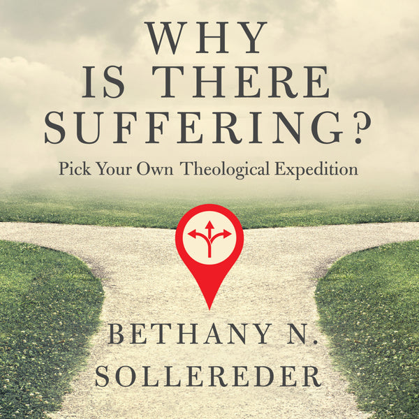 Why Is There Suffering?: Pick Your Own Theological Expedition - Audiobook (Unabridged) For Discount