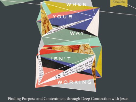 When Your Way Isn t Working: Audio Bible Studies: Finding Purpose and Contentment through Deep Connection with Jesus - Audiobook (Unabridged) Online Sale