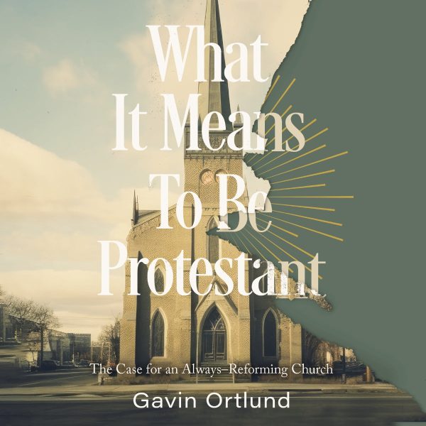 What It Means to Be Protestant: The Case for an Always-Reforming Church - Audiobook (Unabridged) Supply