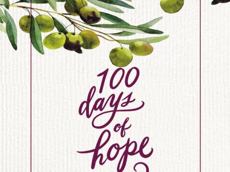 100 Days of Hope - Audiobook (Unabridged) For Cheap