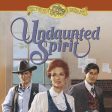 Undaunted Spirit - Audiobook (Unabridged) Discount