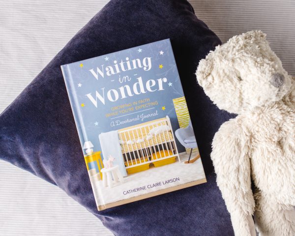 Waiting in Wonder: Growing in Faith While You re Expecting Online Sale