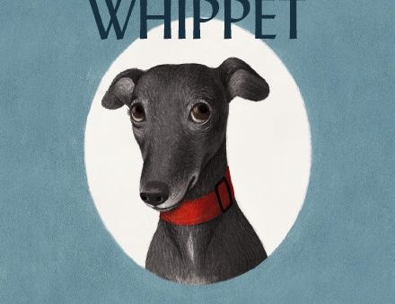 Worried Whippet: A Book of Bravery (For Adults and Kids Struggling with Anxiety) For Discount