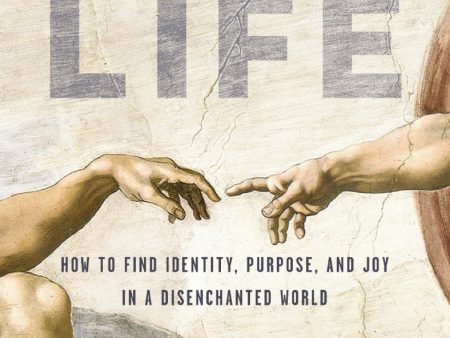 The Problem of Life: How to Find Identity, Purpose, and Joy in a Disenchanted World Fashion